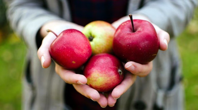 Eating apples at night