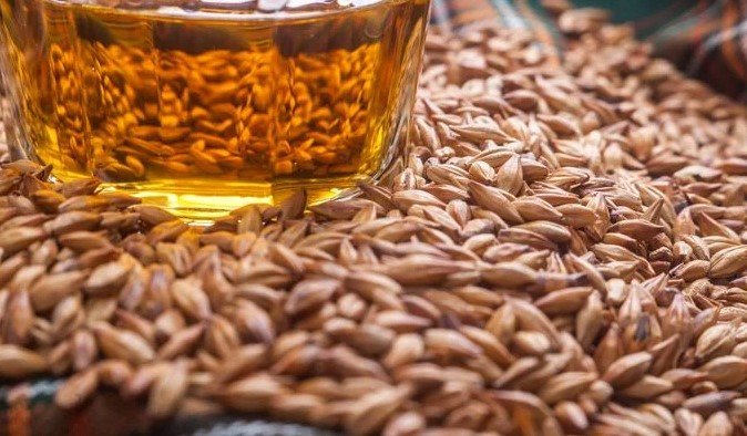 Barley malt to increase breast milk quickly